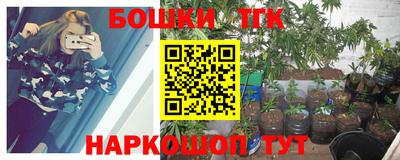мдпв Гусь-Хрустальный