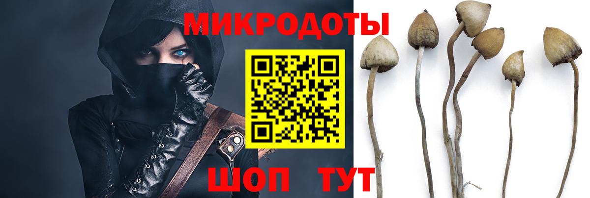 Псилоцибиновые грибы GOLDEN TEACHER  Вход с VPN  Майский 